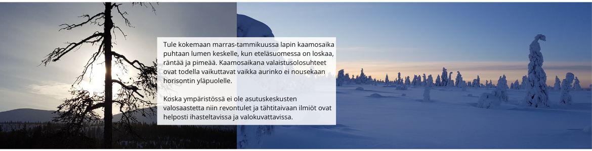 Kaamos 2024